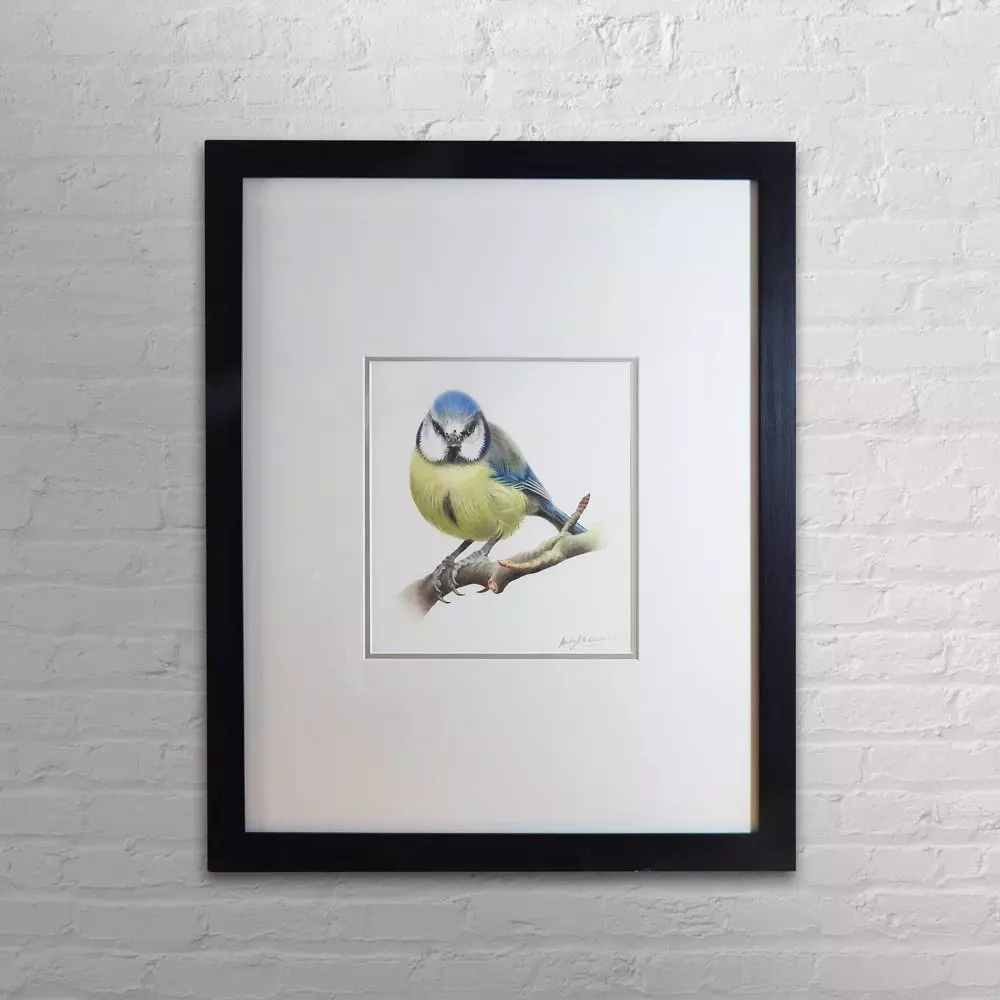 Blue Tit Framed Original